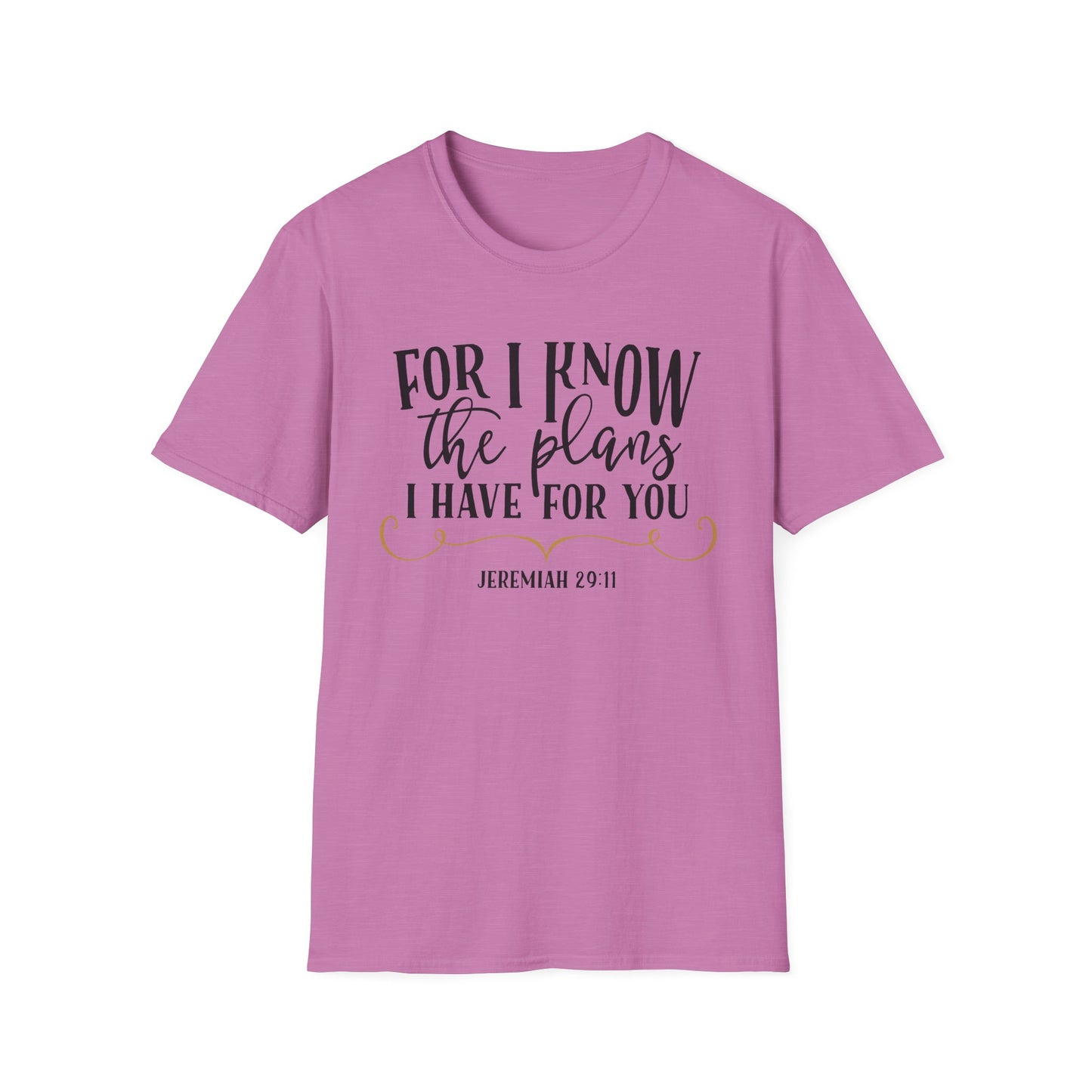 For I Know the Plans Softstyle T-Shirt