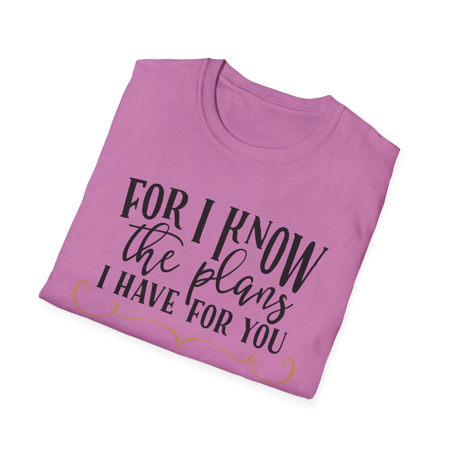 For I Know the Plans Softstyle T-Shirt