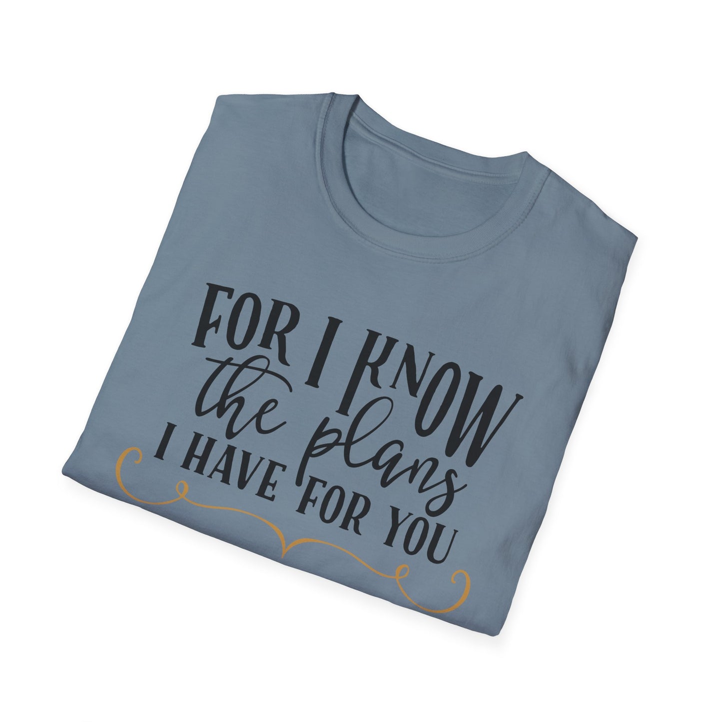 For I Know the Plans Softstyle T-Shirt